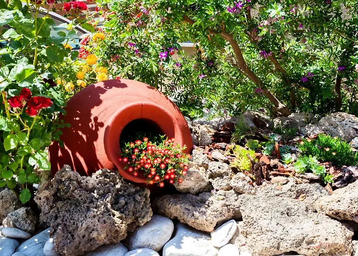 Studios Lotos Lägenhet