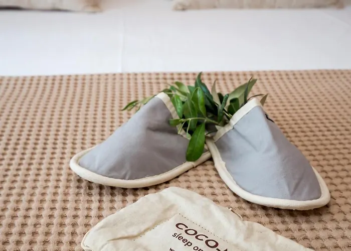 Studios Lotos * Potos