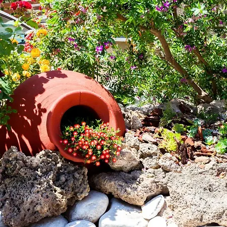 Studios Lotos Apartment