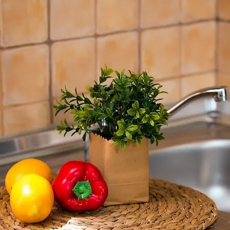 Studios Lotos Apartment