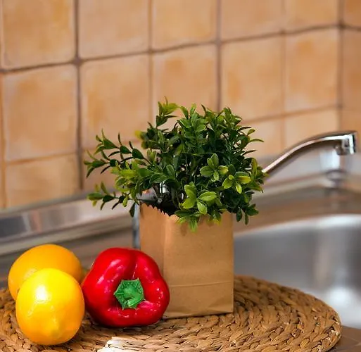 Lotos Διαμέρισμα